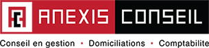 Anexis Conseil Logo